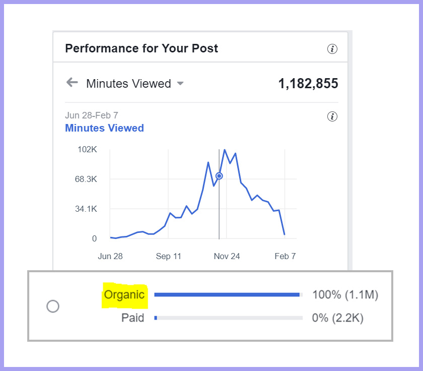 Viral Traffic Builder demo